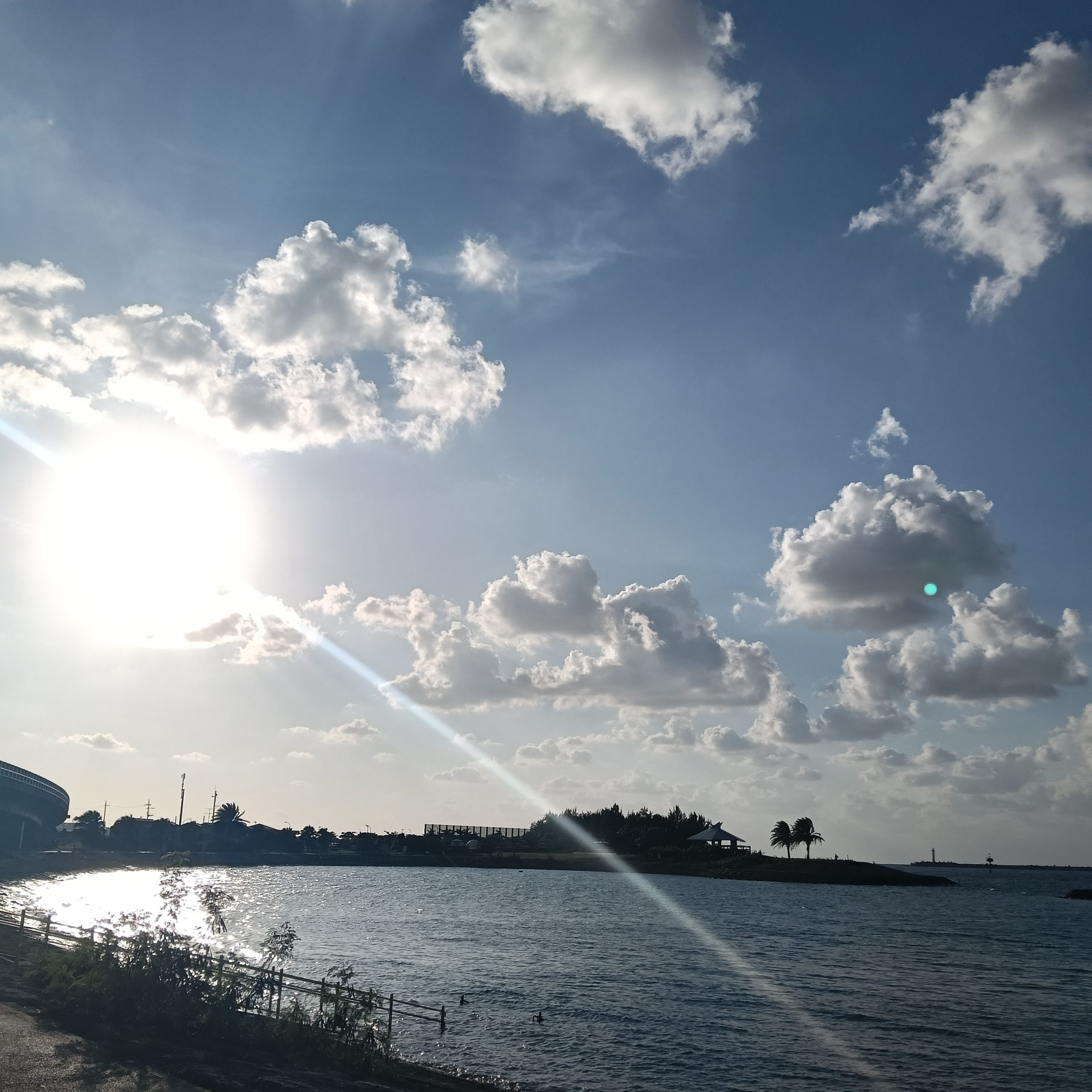 ソルテラス那覇西町　民泊可能住戸　取扱い開始！